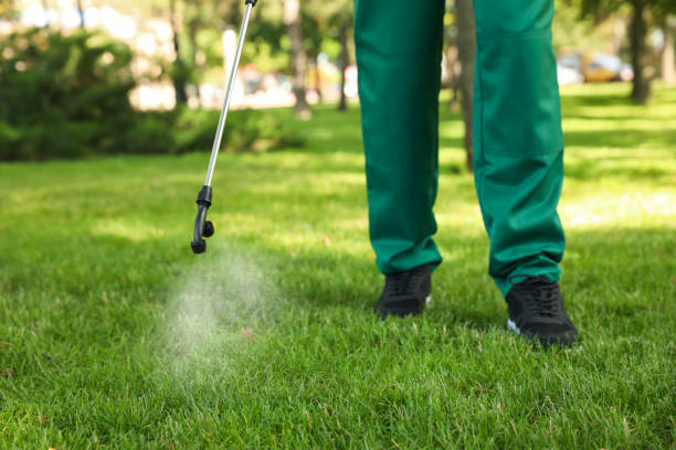 Best Best Pest Control Companies  in Jermyn, PA